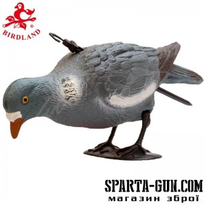 Підсадний голуб Birdland годується