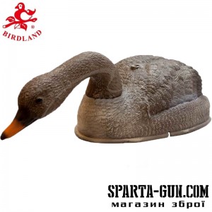 Підсадний гусак Birdland годується